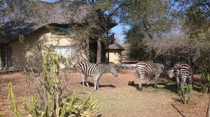  Vacation Hub International | Kruger River Villas - Mtombo Facilities