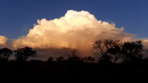 Vacation Hub International | Lekwena Ranch Facilities