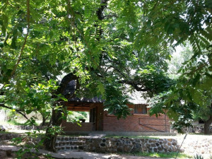  Vacation Hub International | Ng'ona Lodge Facilities