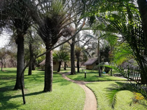  Vacation Hub International | Shumba Safaris Bush Camp Facilities