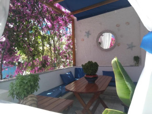  Vacation Hub International | Doron Hotel Delfini Facilities