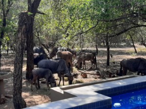  Vacation Hub International | African Sky Villas Facilities