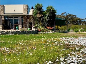  Vacation Hub International | A Touch of Bushveld by the Sea Facilities
