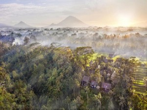  Vacation Hub International | Blue Karma Dijiwa Ubud Facilities