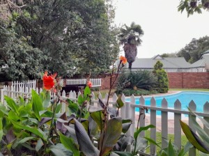  Vacation Hub International | Lesedi Guesthouse Middleburg Facilities