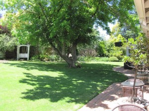  Vacation Hub International | The Pecan Tree Guesthouse Facilities