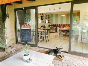  Vacation Hub International | Raintree Guest House Facilities