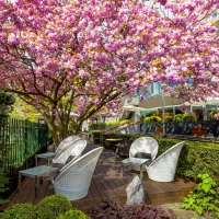  Vacation Hub International | Okura Amsterdam Hotel Food