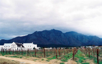  Vacation Hub International | Stellenbosch Lodge Food