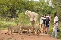  Vacation Hub International | Ukutula Lodge & Conservation Center Food