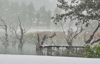  Vacation Hub International | Riverwalk Bed & Breakfast Food