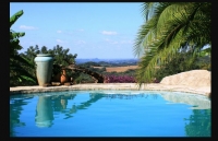  Vacation Hub International | Haus Kopatsch Food