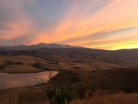  Vacation Hub International | Little Acres Food