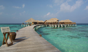  Vacation Hub International | Coco Bodu Hithi Food