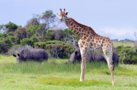  Vacation Hub International | Kragga Kamma Game Park Food