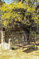  Vacation Hub International | The Green Acorn Guest House Food