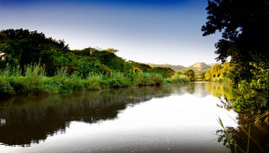  Vacation Hub International | Hippo water front lodge Food