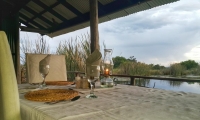  Vacation Hub International | Plettenberg Bay Game Reserve Food