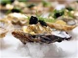  Vacation Hub International | The Phantom Forest Food