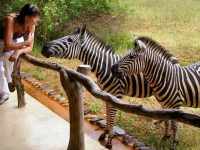  Vacation Hub International | Leopard Walk Lodge Food