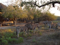  Vacation Hub International | A Zaganaga Kruger Lodge Food