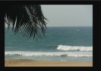  Vacation Hub International | Margate Boulevard 109 Food