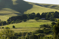  Vacation Hub International | Lions River Country Cottages Food