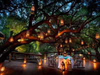  Vacation Hub International | Jaci's Safari Lodge Food