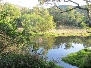  Vacation Hub International | Nature's Valley Rest Camp Food