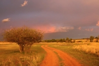  Vacation Hub International | Thorn Tree Bush Camp Food