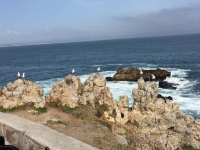  Vacation Hub International | The Seagull Hermanus Food