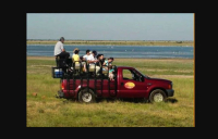  Vacation Hub International | Marrick Safari Food