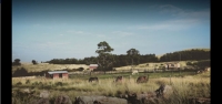  Vacation Hub International | Cpirit Country Haven Food