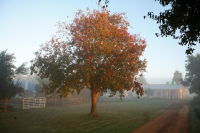  Vacation Hub International | Sneezewood Farm Food