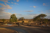  Vacation Hub International | Cheetah Ridge Food