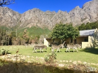  Vacation Hub International | Franschhoek Country Cottages Food
