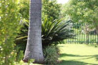  Vacation Hub International | El Palmar Guesthouse Food
