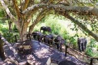  Vacation Hub International | aha Makalali Private Game Lodge Food