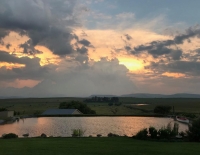  Vacation Hub International | Forellenhof Guest Farm Food