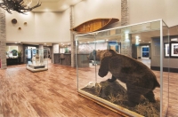  Vacation Hub International | La Quinta Inn & Suites Fairbanks Airport Food