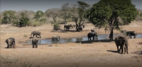  Vacation Hub International | Tembe Elephant Park Lodge Food
