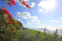  Vacation Hub International | Rivabella Apartments Food
