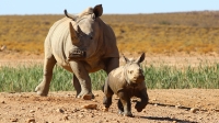  Vacation Hub International | Inverdoorn Game Reserve - Guest Houses Food