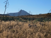  Vacation Hub International | Ganora Guestfarm & Excursions Food