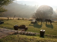  Vacation Hub International | Old Mill Drift Guest Farm -  Chalet 5 Food