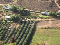  Vacation Hub International | Matjiesvlei Cottages - Middelplaas Food