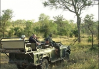  Vacation Hub International | Glenwood Safaris Food
