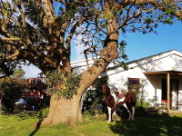  Vacation Hub International | Kei Mouth Guest Lodge Food