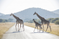  Vacation Hub International | Phumelelo Lodge Food