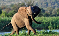  Vacation Hub International | Struwig Eko-Reservaat - Eco-Reserve Food